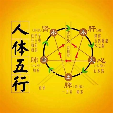 水木火土金|五行生克（哲学理论）